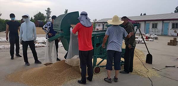 江蘇小麥篩分機
