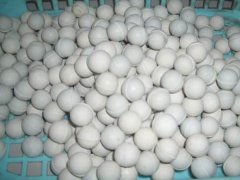 直徑40mm橡膠球
